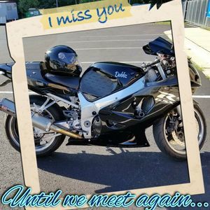 Meet your Posher, Winnie